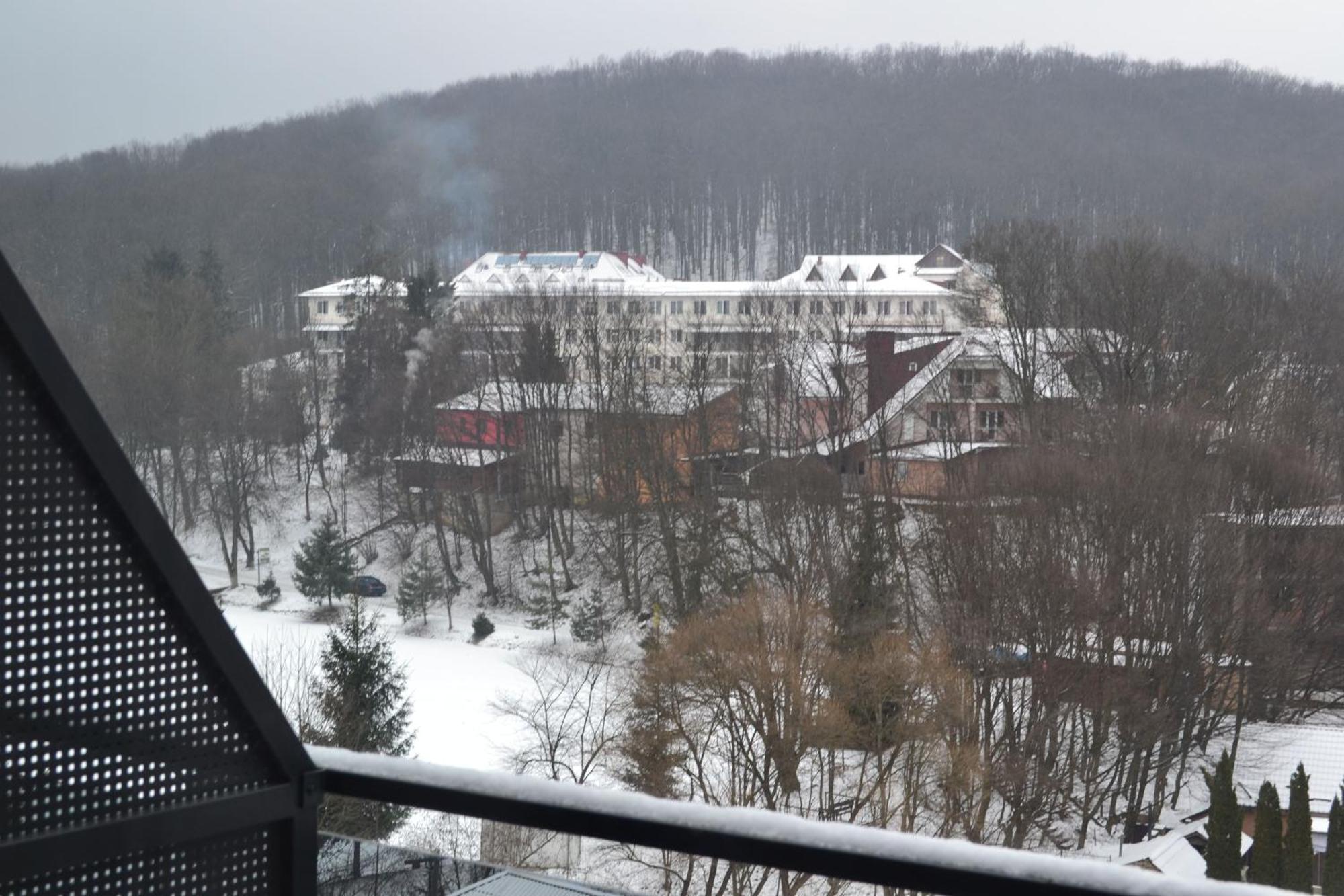 Village Apartments Polyana Экстерьер фото